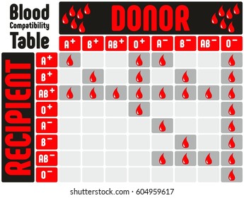 Blood Donor Receiver Chart