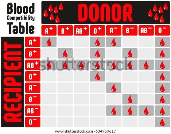 すべての血液型と陽性と陰性の組合せを示す血液型適合表で どのドナーがどの医療教育や医療の受給者に寄付できるかを示す のベクター画像素材 ロイヤリティフリー
