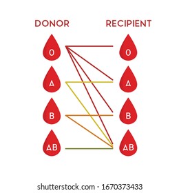Tipos de sangre para icono plano de transfusión, ilustración vectorial