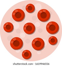 Blood under the microscope. Red cell analysis. Disease test. Plasma and erythrocyte. Science and education. Cartoon flat illustration. Element of biology and Cytology
