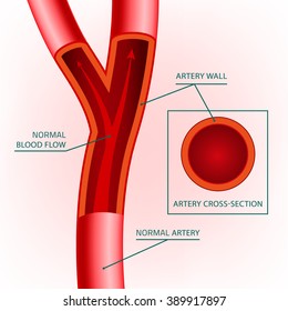 Blood Vein Image