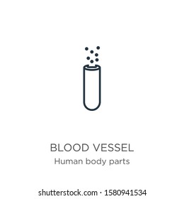 Blood vessel icon. Thin linear blood vessel outline icon isolated on white background from human body parts collection. Line vector sign, symbol for web and mobile