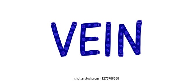blood vessel / text vector / vein