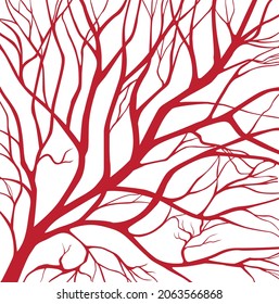Blood Vessels. Abstract Pattern With Red Veins. Vector Background.