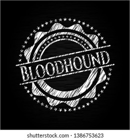 Bloodhound with chalkboard texture. Vector Illustration. Detailed.