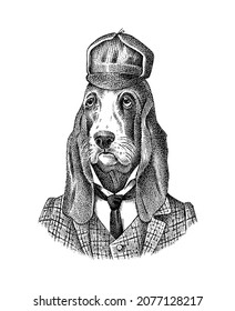 Bloodhound Dog dressed up in suit. Hunting breed. Fashion Animal character in clothes. Hand drawn sketch. Vector engraved illustration for label, logo and T-shirts or tattoo.