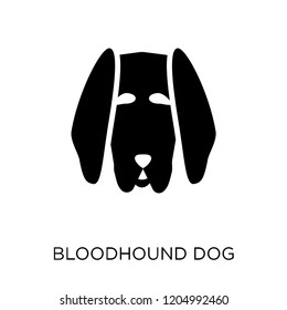 Bloodhound dog icon. Bloodhound dog symbol design from Dogs collection. Simple element vector illustration on white background.