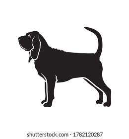 Bloodhound dog - isolated vector illustration