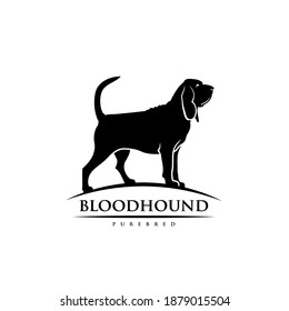 Bloodhound dog - isolated vector illustration