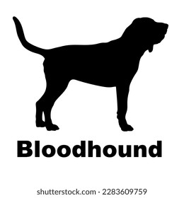 bloodhound  dog silhouette dog breeds