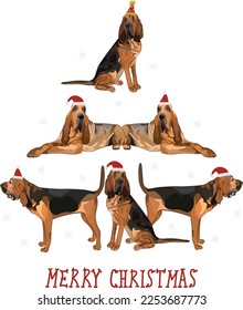 Bloodhound dogs wearing winter hats. Cute funny dogs. Abstract Christmas tree. Vector illustration. Merry Christmas greeting card with the cute funny dogs, holiday, purebred with happy eyes.