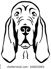 Bloodhound head in black and white