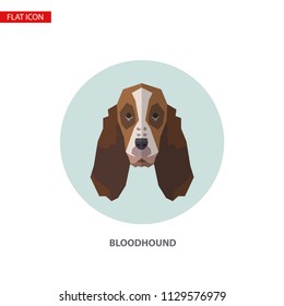 Bloodhound head vector flat icon on turquoise circular background. It can be used as - logo, pictogram, icon, infographic element.