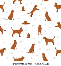 Bloodhound seamless pattern. Different coat colors and poses set.  Vector illustration