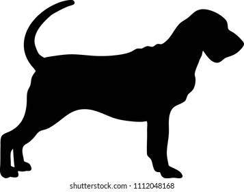 Bloodhound Silhouette Real In Black