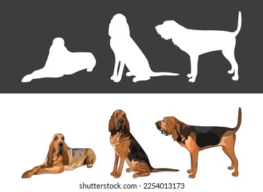 Bloodhound silhouettes. Laying, sitting, standing dog. Cute dog characters in various poses, design for print, cute cartoon vector set, in different poses. One color design, dog silhouette.