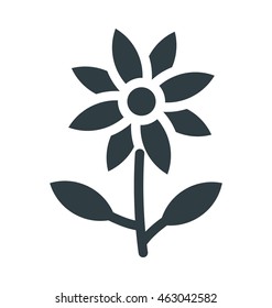 Bloodroot Flower Colored Vector Icon