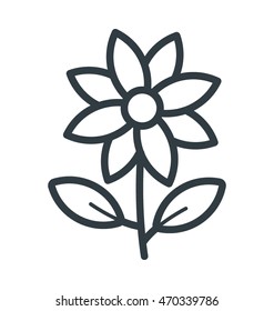 Bloodroot Flower Colored Vector Icon