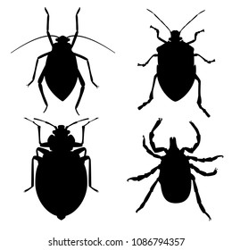 Blood-sucking Parasites. Aphid, Bedbug,  Dog Flea, Mite. Vector Insects