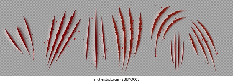 Bloody Claw Marks, Realistic Png Set. 3D Vector Illustration Of Wild Animal Scretches On Transparent Background. Red Signs Of Dangerous Beast Or Scary Monster Attack. Torn Wound Caused By Sharp Talon