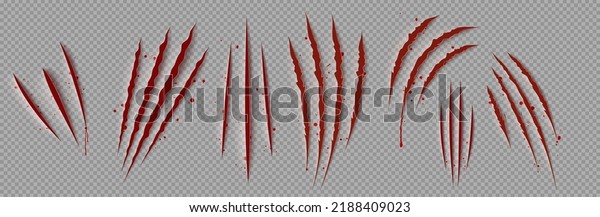 Bloody claw marks, realistic png set. 3D vector\
illustration of wild animal scretches on transparent background.\
Red signs of dangerous beast or scary monster attack. Torn wound\
caused by sharp talon