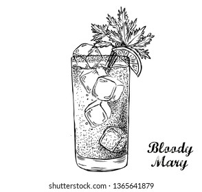 Bloody Mary cocktail hand drawn.