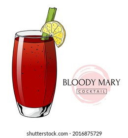 Bloody Mary cocktail, hand drawn alcoholic drink with lemon slice and celery. Vector illustration