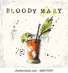 Bloody mary cocktail. Hand drawn vector illustration.