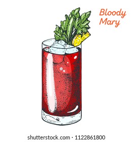 Bloody Mary cocktail illustration. Alcoholic cocktails hand drawn vector illustration. 