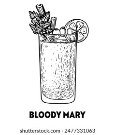 Bloody mary cocktail illustration. Hand drawn sketch. Vector illustration. Isolated object. Not AI