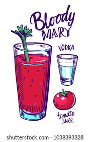 Bloody mary cocktail. Vector illustration