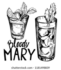 Bloody mary cocktail. Vector illustration