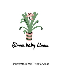 Bloom baby, bloom. Lettering. Can be used for prints bags, t-shirts, posters, cards. Calligraphy vector. Ink illustration