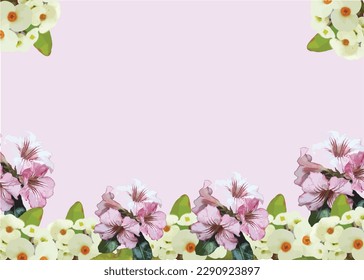 Bloom Burst is a name that evokes the vibrant and explosive energy of a flower in full bloom.