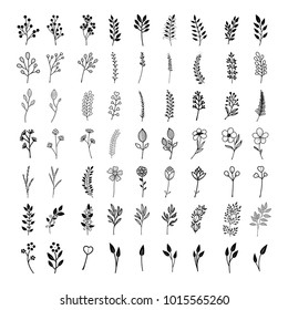 Bloom collection. Set of hand-drawn flowers, branches and leaves. Nice to combine among themselves and to create your own unique design.