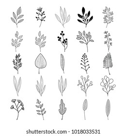 Bloom collection. Set of hand-drawn flowers, branches and leaves. Nice to combine among themselves and to create your own unique design.
