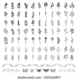 Bloom collection. Set of hand-drawn flowers, branches and leaves. Nice to combine among themselves and to create your own unique design.