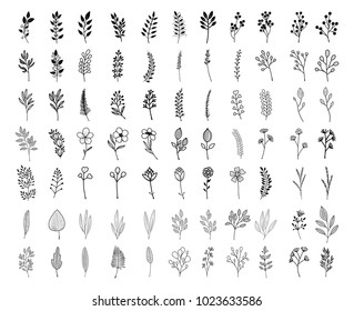 Bloom collection. Set of hand-drawn flowers, branches and leaves. Nice to combine among themselves and to create your own unique design.
