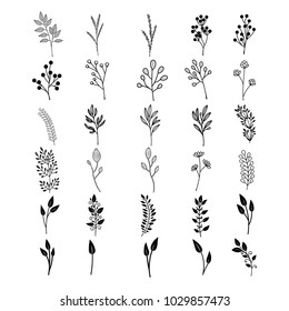 Bloom collection. Set of hand-drawn flowers, branches and leaves. Nice to combine among themselves and to create your own unique design.
