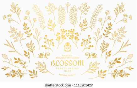 Bloom collection. Set of hand-drawn flowers, branches and leaves. Nice to combine among themselves and to create your own unique design.