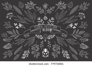 Bloom collection. Set of hand-drawn flowers, branches and leaves. Nice to combine among themselves and to create your own unique design.