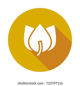 bloom icon