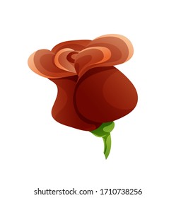 Bloom of red rose, cartoon style. Vector illustration on white