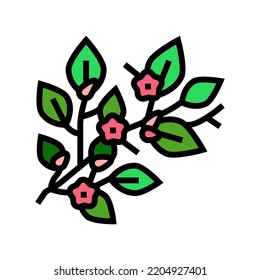 bloom spring color icon vector. bloom spring sign. isolated symbol illustration