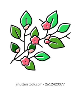 bloom spring color icon vector. bloom spring sign. isolated symbol illustration