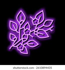 bloom spring neon light sign vector. bloom spring illustration