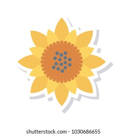  bloom sunflower nature 