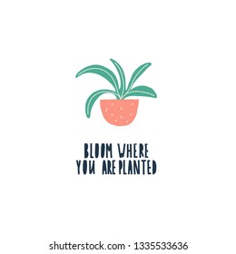 bloom where you are planted