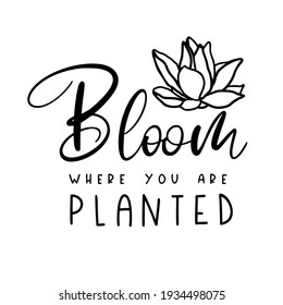 Bloom where you are planted with a beautiful lotus flower is great as a tshirt print or greeting card. Vector quote isolated on white background