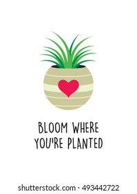 bloom where you are planted card with plant graphic